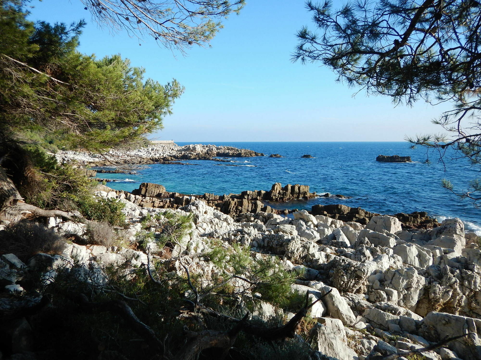 Hotel Miramar- Cap D'Antibes - La Garoupe Plage Dış mekan fotoğraf